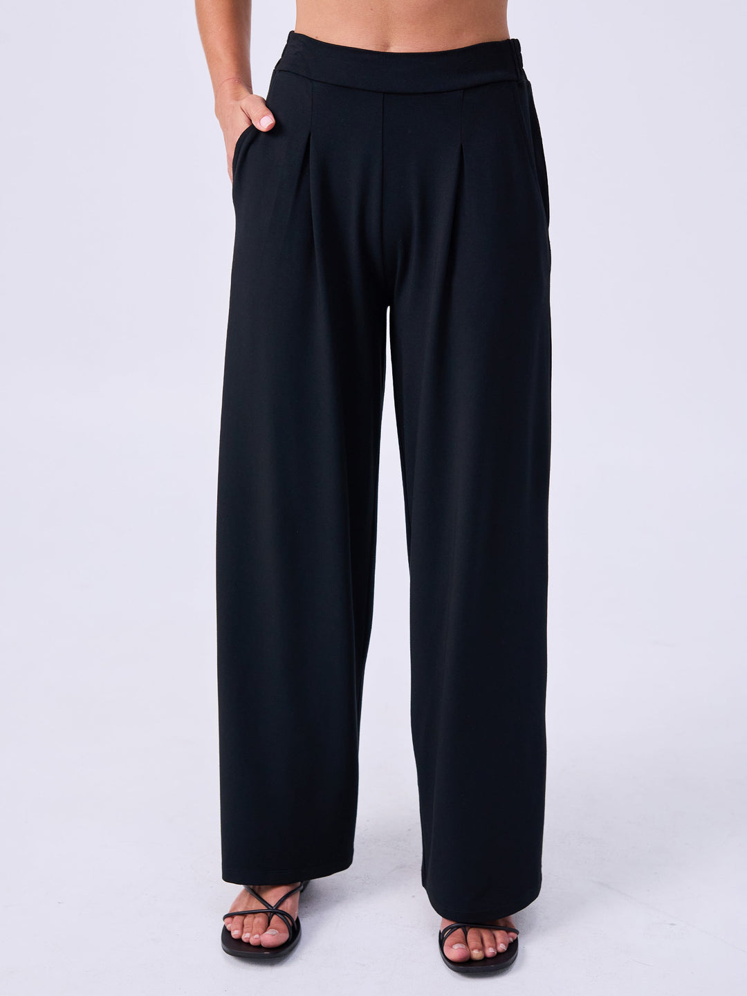 Pleat Front Wide Leg Pants - Black